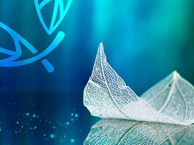 The Three Plagues of the Human Spirit And Spiritual Practices To Heal Them