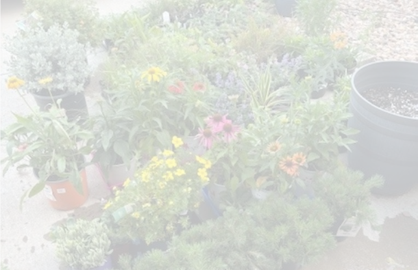 Good Stewards: How Supporters Like You Helped Clermont Park Grow Green and Waste Less