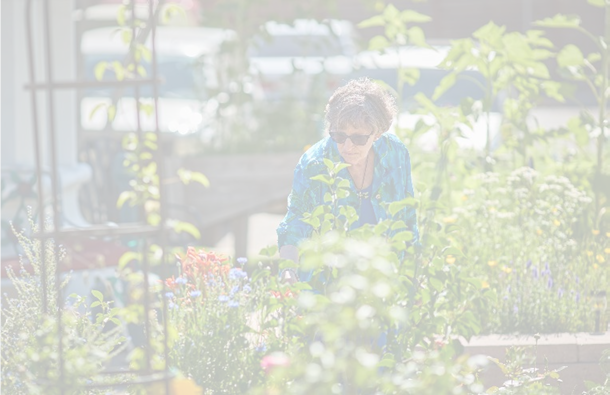 Generosity & Citizenship Make Garden Renovation Possible at Dayspring Villa