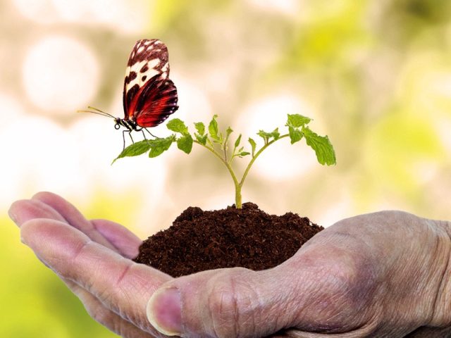 Love That Outlives Us: The Enduring Gift of Gil and Jeanette Deters