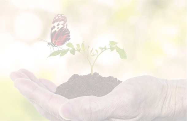 Love That Outlives Us: The Enduring Gift of Gil and Jeanette Deters