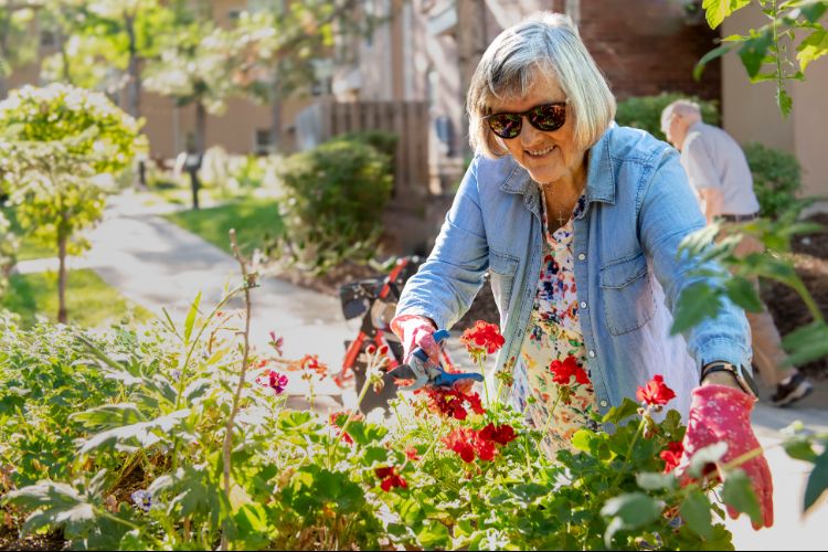 someren glen resident tending to flower garden someren glen resident tending to flower garden