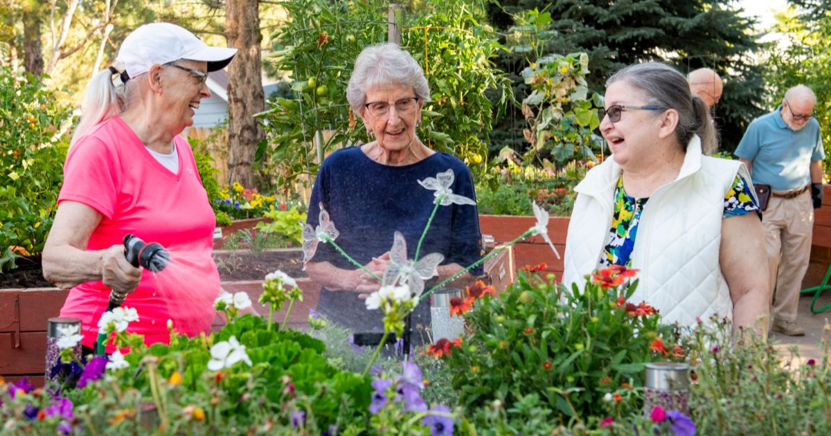 someren glen residents talking by garden boxes