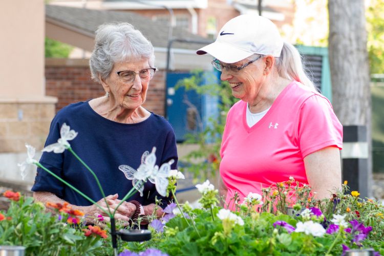 someren glen residents talking over raised garden beds someren glen residents talking over raised garden beds