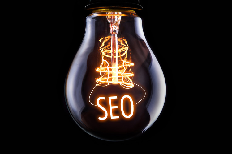 CDMS lightbulb with seo lit up