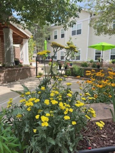 Refreshed gardens at The Suites at Holly Creek